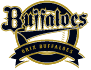 ORIX Buffaloes